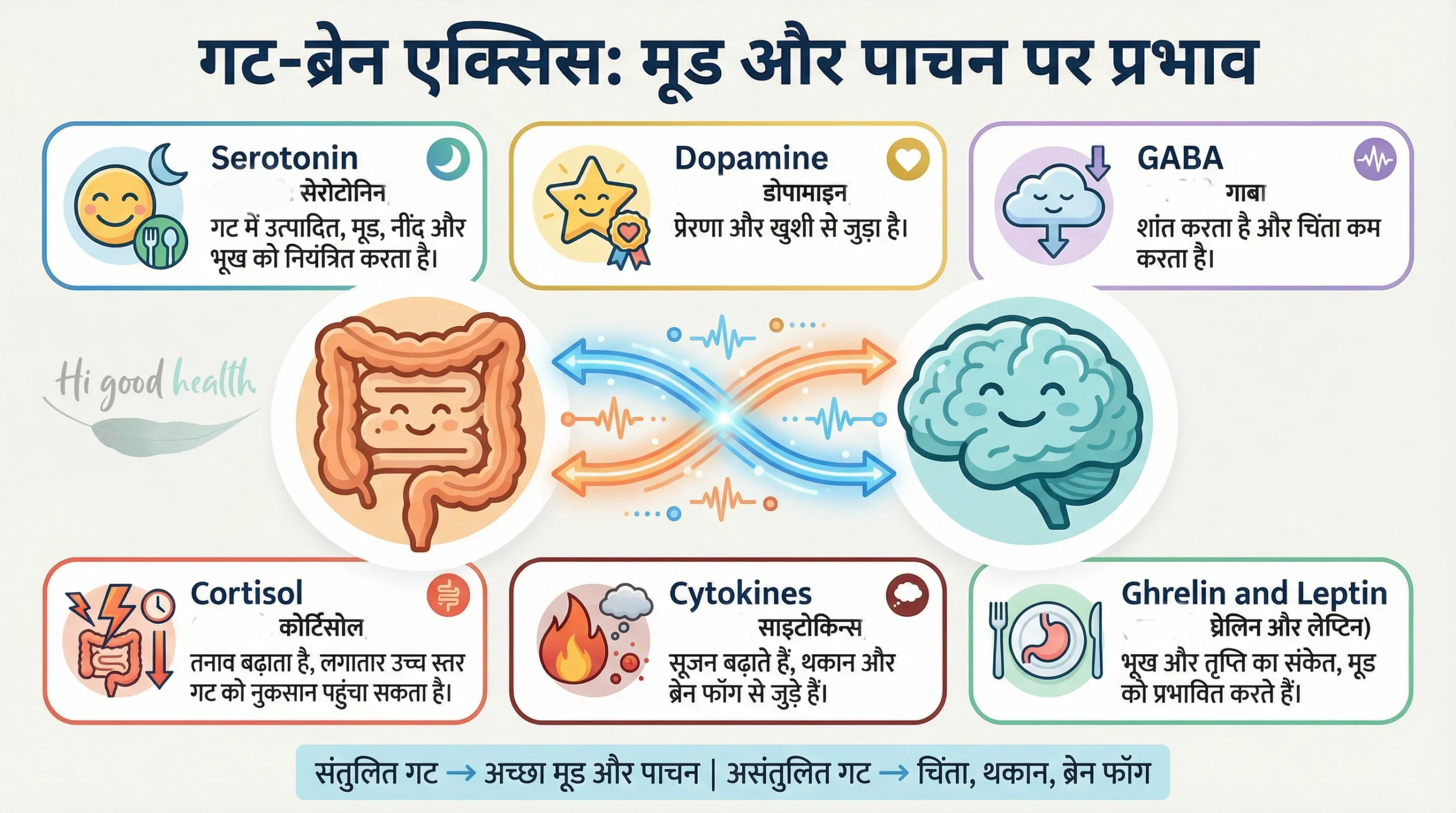 गट–ब्रेन ऐक्सिस, न्यूरोट्रांसमीटर और हार्मोन – 2D मेडिकल इन्फोग्राफिक | Gut–Brain Axis, neurotransmitters & hormones