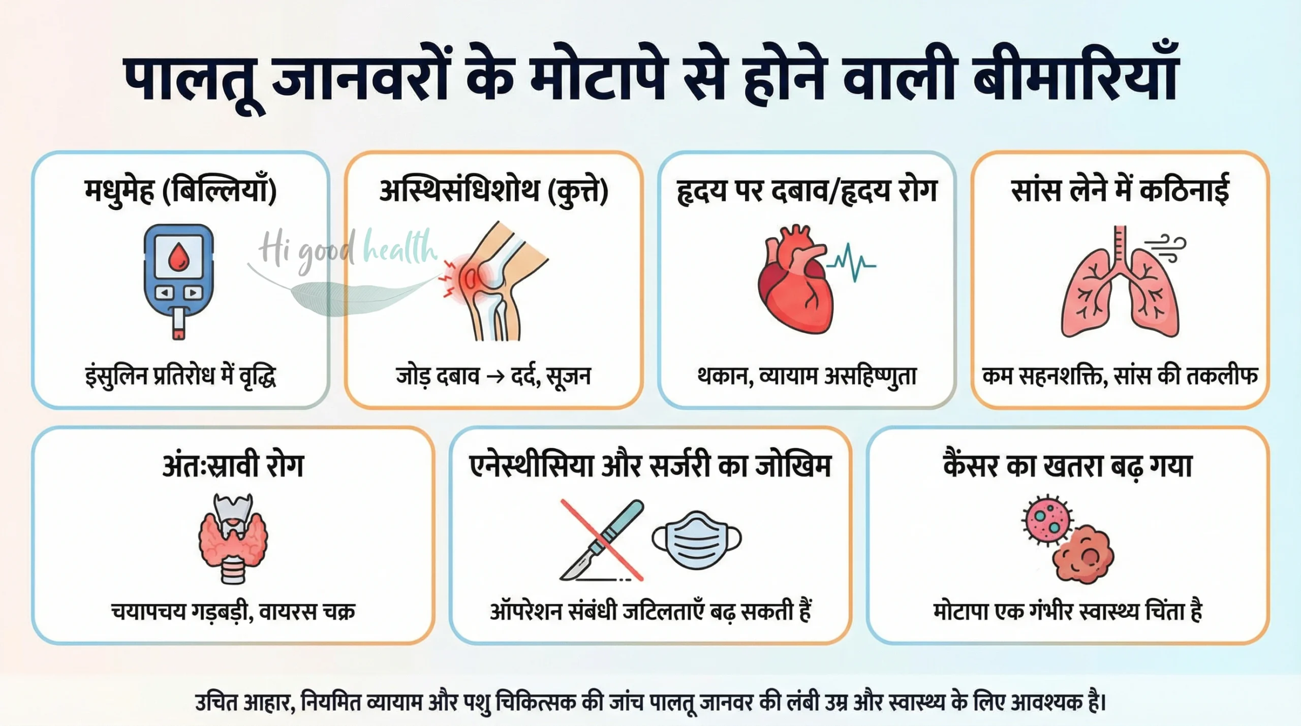 पालतू मोटापे का आर्थिक बोझ 