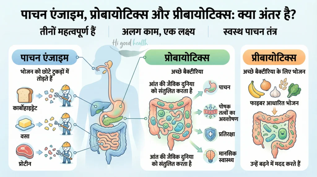 एन्ज़ाइम बनाम प्रोबायोटिक्स : बेहतर पेट की सेहत के लिए सही साथी चुनें 2 पाचन एन्ज़ाइम, प्रोबायोटिक्स और प्रीबायोटिक्स का अंतर | Digestive enzymes, probiotics & prebiotics infographic