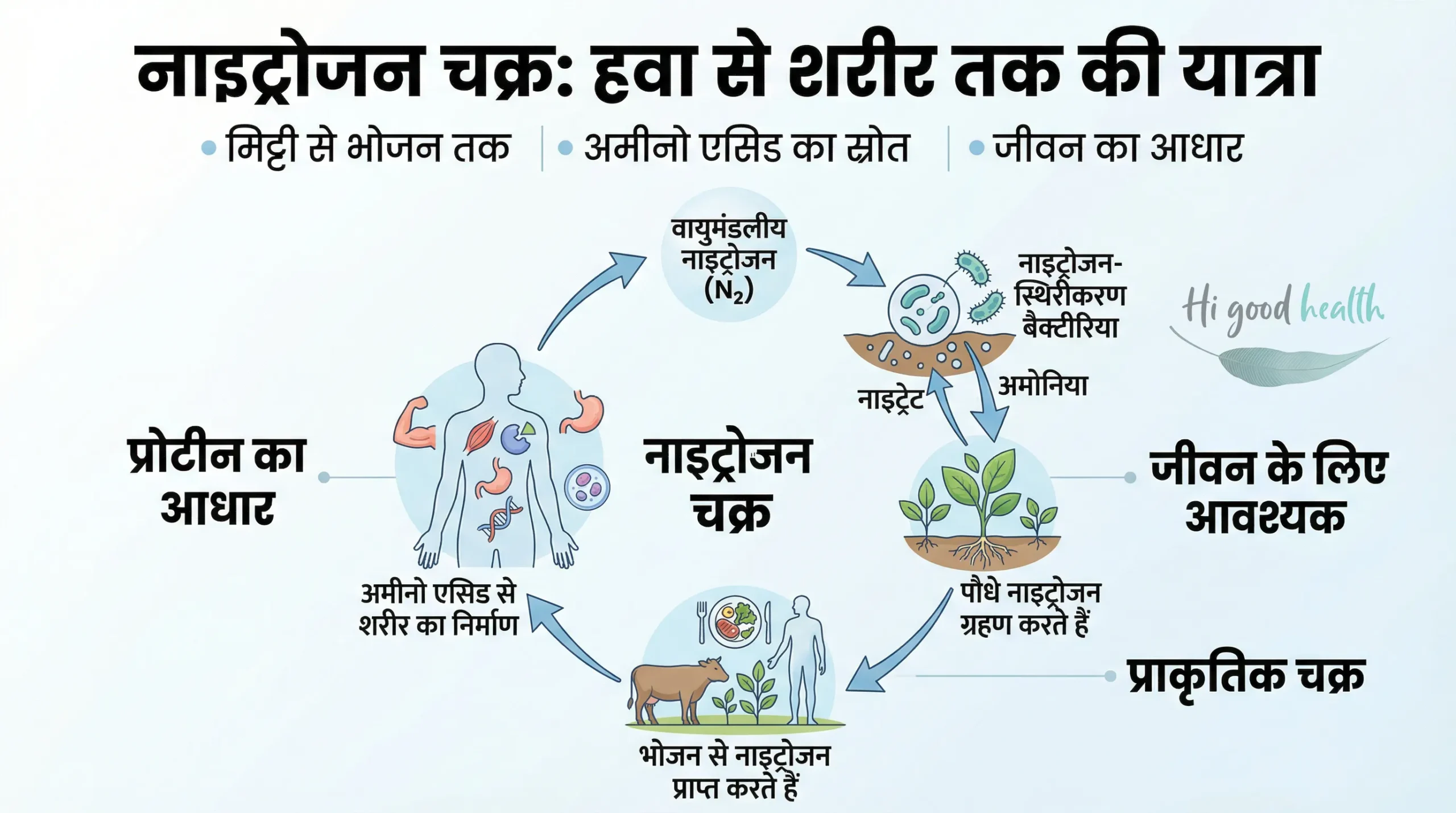 क्या ऑक्सीजन इंसानों के लिए ज़्यादा आंकी गई है? 4 Is Oxygen Overrated for Humans Hindi 3 scaled