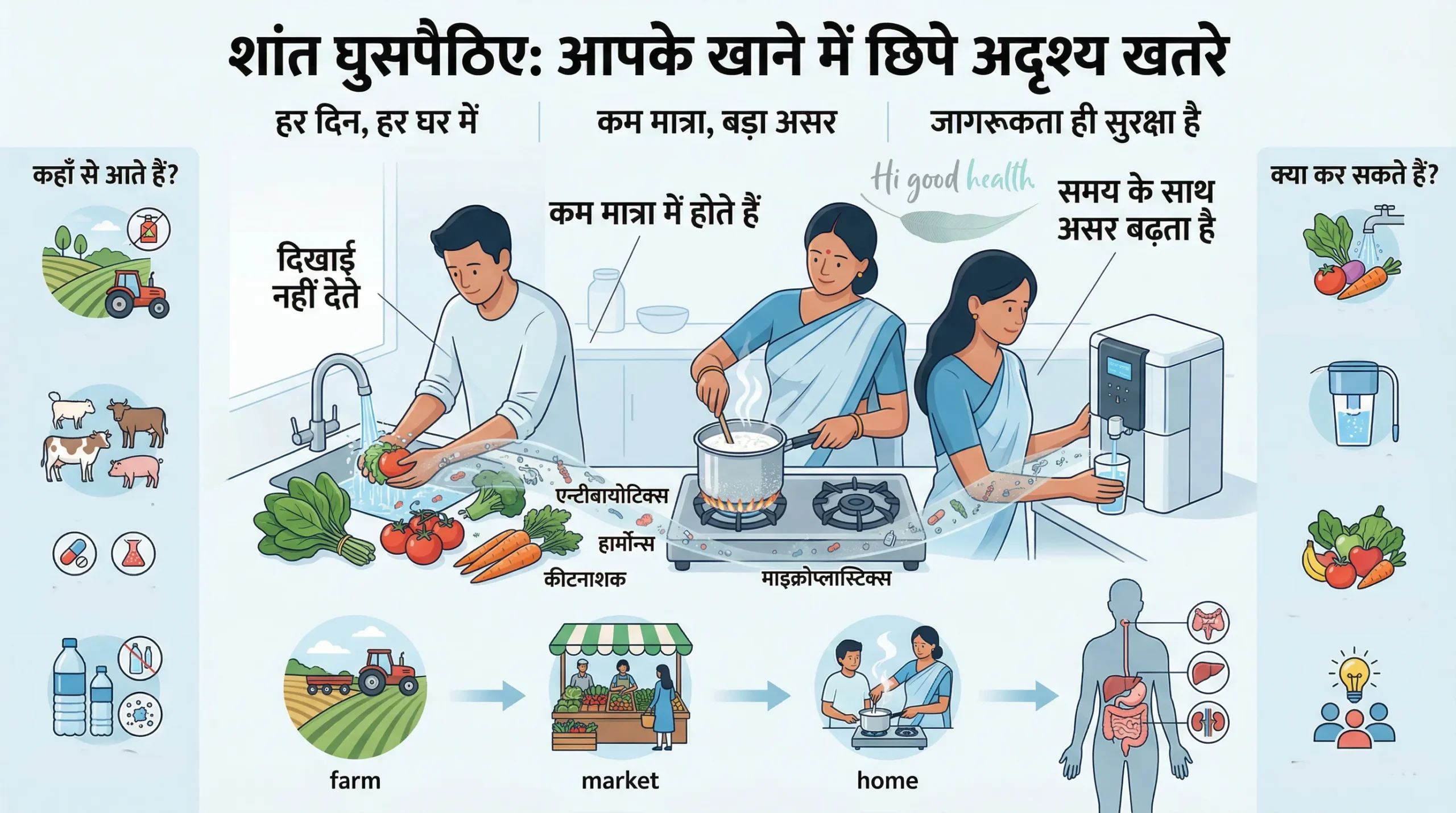 शांत घुसपैठिए: हार्मोन, एंटीबायोटिक्स और माइक्रोप्लास्टिक्स कैसे आपके परिवार के भोजन तक पहुँचते हैं — और उनसे कैसे बचें 3 Silent Invaders 2 Hindi scaled