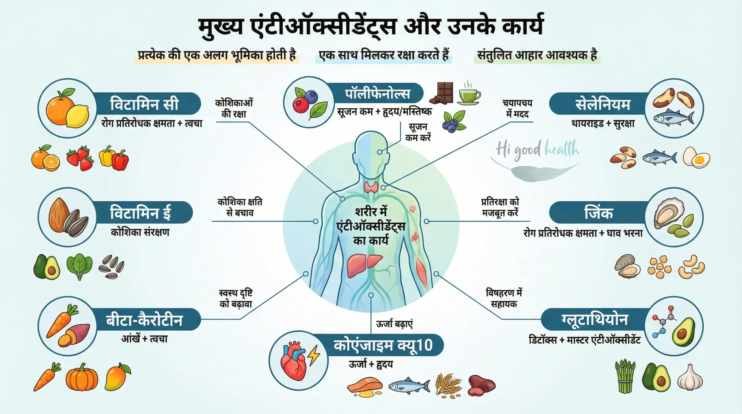 एंटीऑक्सीडेंट कवच: बीमारियों के खिलाफ आपके शरीर की पहली सुरक्षा पंक्ति 3 The Antioxidant Shield Hindi 2 scaled