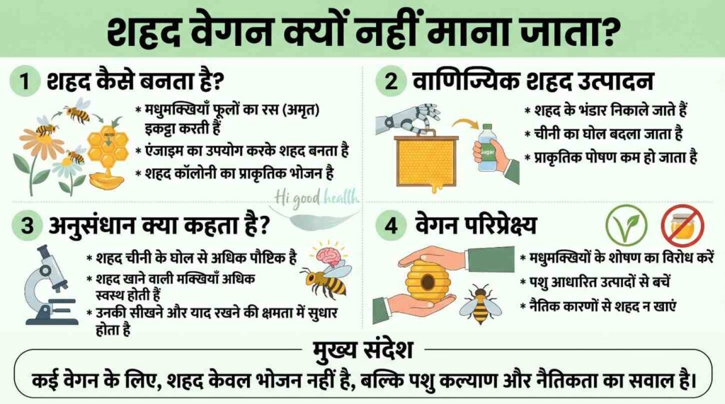 क्या शहद और अंजीर सच में वीगन हैं? इनके पीछे का असली विज्ञान समझिए 4 शहद कैसे बनता है और वीगन लोगों के लिए यह क्यों मायने रखता है