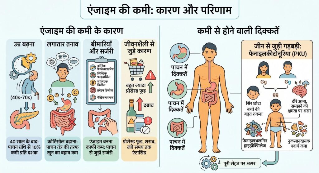 एंजाइम की कमी जितनी लोग सोचते हैं, 