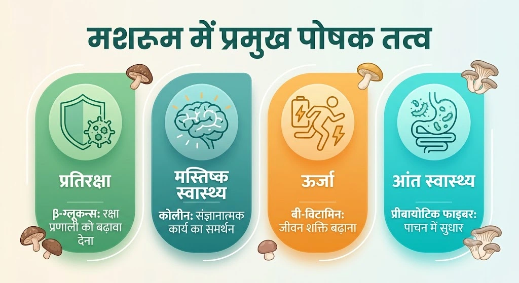 क्या मशरूम और ट्रफल एक ही हैं? अगला खाना खाने से पहले पढ़ना ज़रूरी 3 मशरूम में प्रमुख पोषक तत्व: