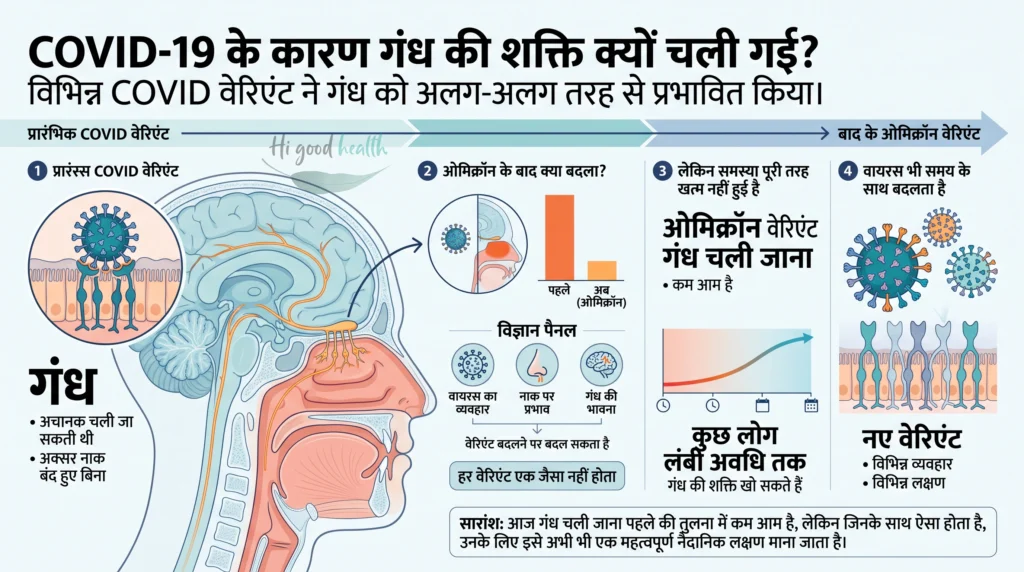 क्या कोविड के बाद कुछ भी सूंघाई नहीं दे रहा? यह छिपा हुआ लक्षण जिसे अनदेखा नहीं करना चाहिए 3 कोविड में यह बात क्यों अलग लगती है