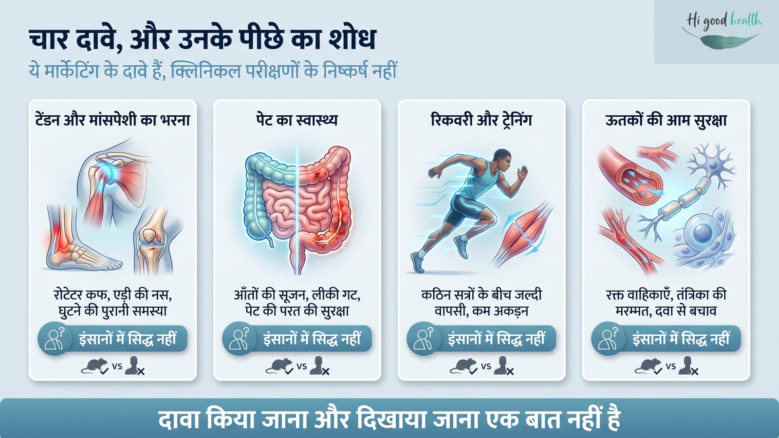 इन्फोग्राफिक: BPC-157 के चार मार्केटिंग दावे — टेंडन और मांसपेशी का भरना, पेट का स्वास्थ्य, रिकवरी और ट्रेनिंग, और ऊतकों की आम सुरक्षा। हर दावे के साथ उसका चिकित्सकीय चित्र है, और हर एक पर यही लिखा है कि यह इंसानों में सिद्ध नहीं है, क्योंकि शोध चूहों में हुआ है, लोगों में नहीं।