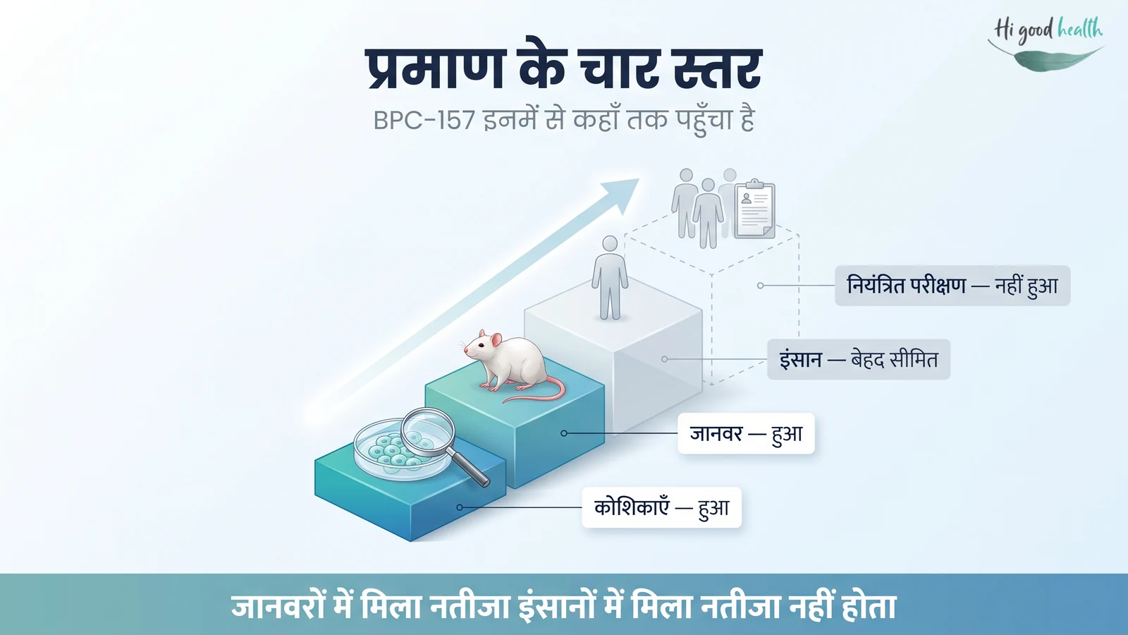 इन्फोग्राफिक: प्रमाण के चार स्तर एक चढ़ती सीढ़ी के रूप में — कोशिकाओं और जानवरों वाले पहले दो पायदान पूरे बने हैं, इंसानों वाला तीसरा पायदान धुँधला है, और नियंत्रित मानव परीक्षण वाला चौथा पायदान अभी सिर्फ़ खाली रेखाओं में है।