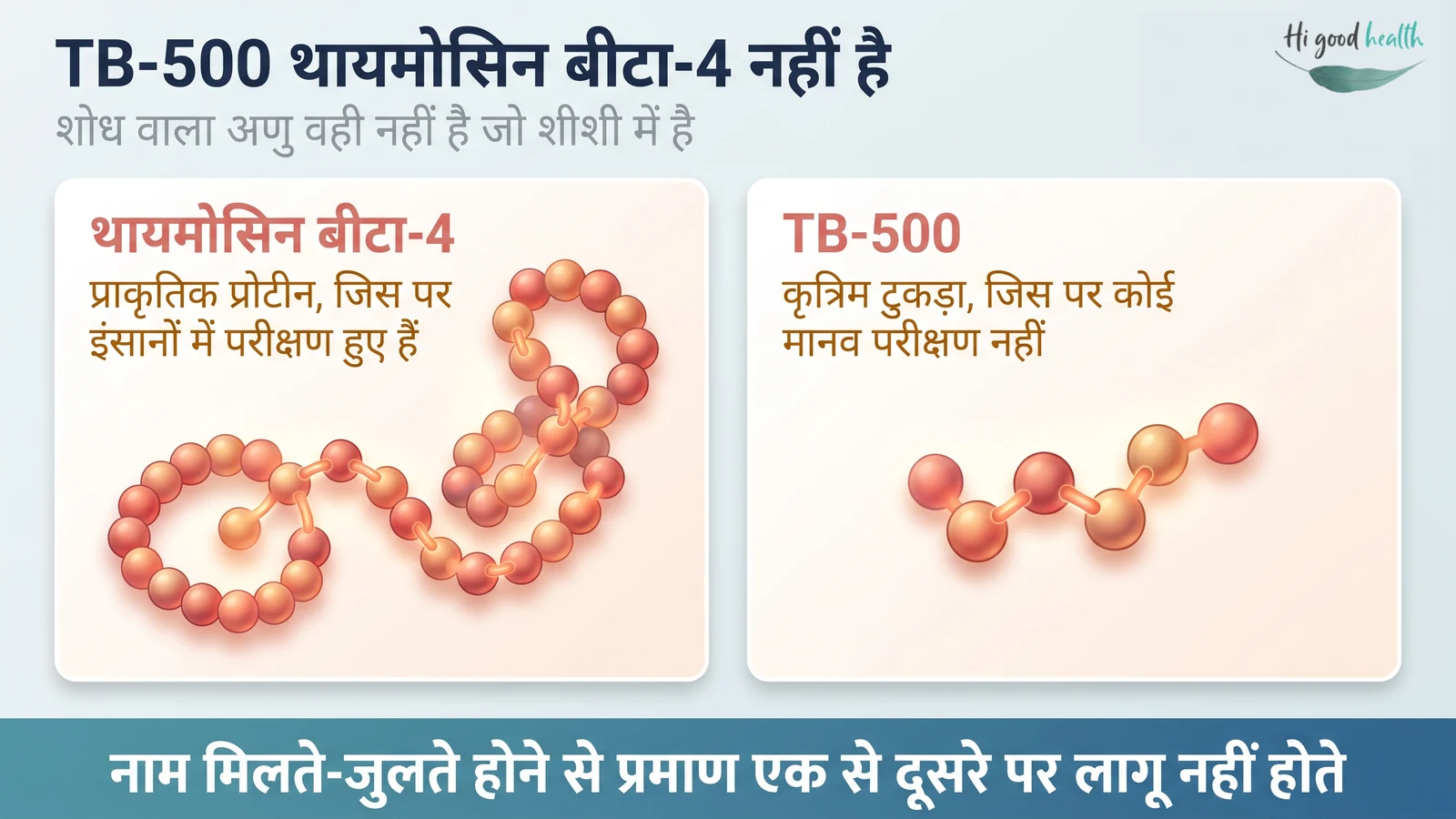 इन्फोग्राफिक: थायमोसिन बीटा-4 की तुलना, वह प्राकृतिक प्रोटीन जो इंसानों पर क्लिनिकल परीक्षणों से गुज़रा है, TB-500 से, वह कृत्रिम टुकड़ा जो शीशियों में बिकता है और जिसका न कोई मानव परीक्षण है, न तय खुराक, न दीर्घकालिक सुरक्षा का आँकड़ा।