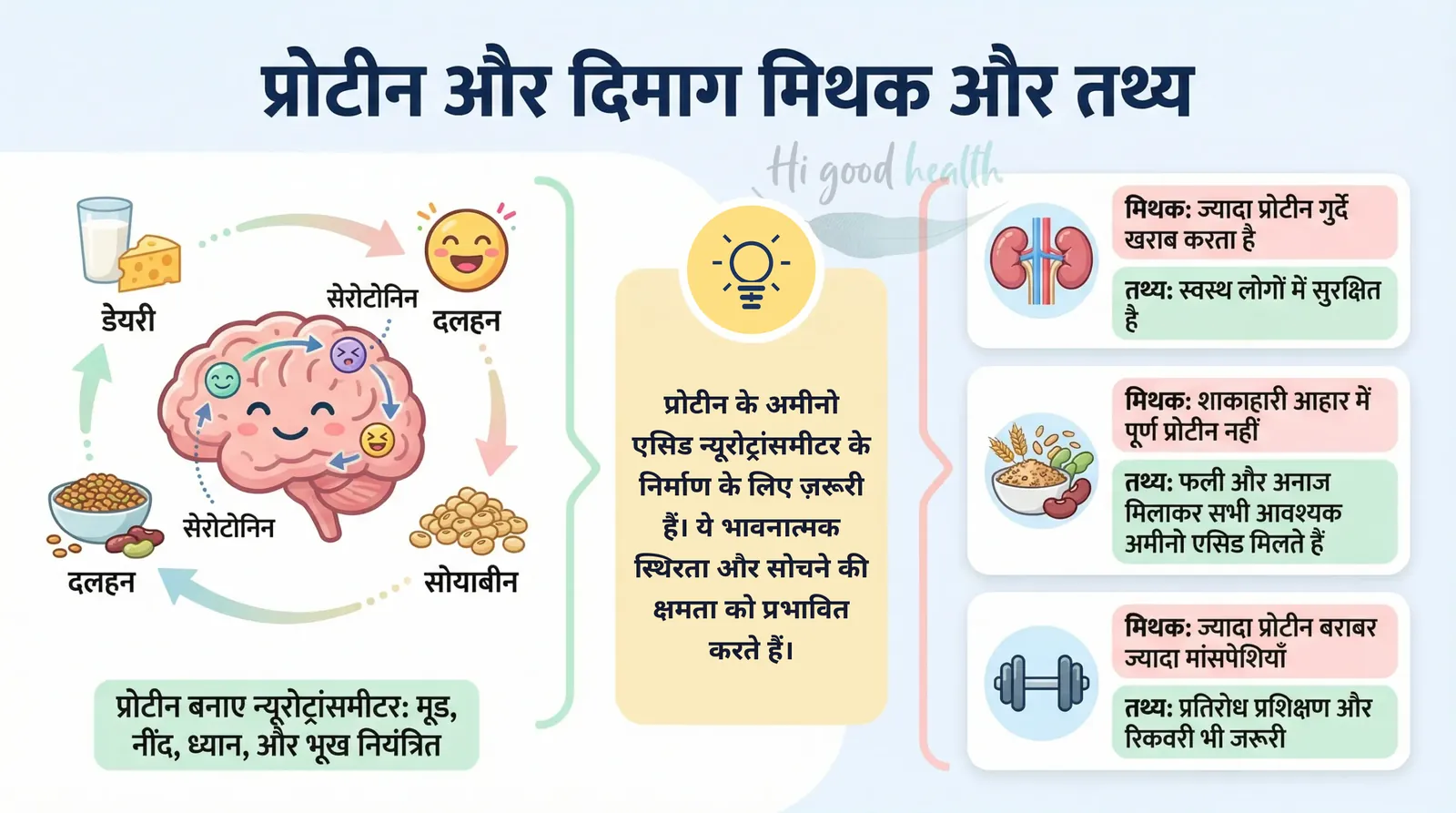 प्रोटीन और दिमाग पर मिथक और तथ्य: डेयरी, दाल और सोयाबीन का प्रोटीन न्यूरोट्रांसमीटर बनाने में मदद करता है, जो मूड, नींद और ध्यान को प्रभावित करते हैं; ज़्यादा प्रोटीन स्वस्थ लोगों के लिए सुरक्षित है; दाल और अनाज मिलाकर पूरा प्रोटीन मिलता है
