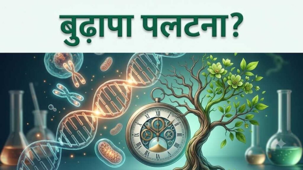 क्या इंसान का बुढ़ापा पलट सकता है? रिवर्स एजिंग की साइंस — भाग 1 2 बुढ़ापा पलटने के सवाल का चित्रण — एक DNA हेलिक्स, गियर दिखाती पुरानी जेब घड़ी, आधा सूखा और आधा फूलों से भरा पेड़, और आसपास रखी लैब की शीशियाँ