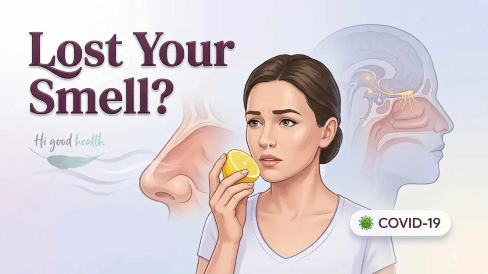 Woman sniffing a lemon beside a diagram of the nasal olfactory nerve, headed Lost Your Smell?