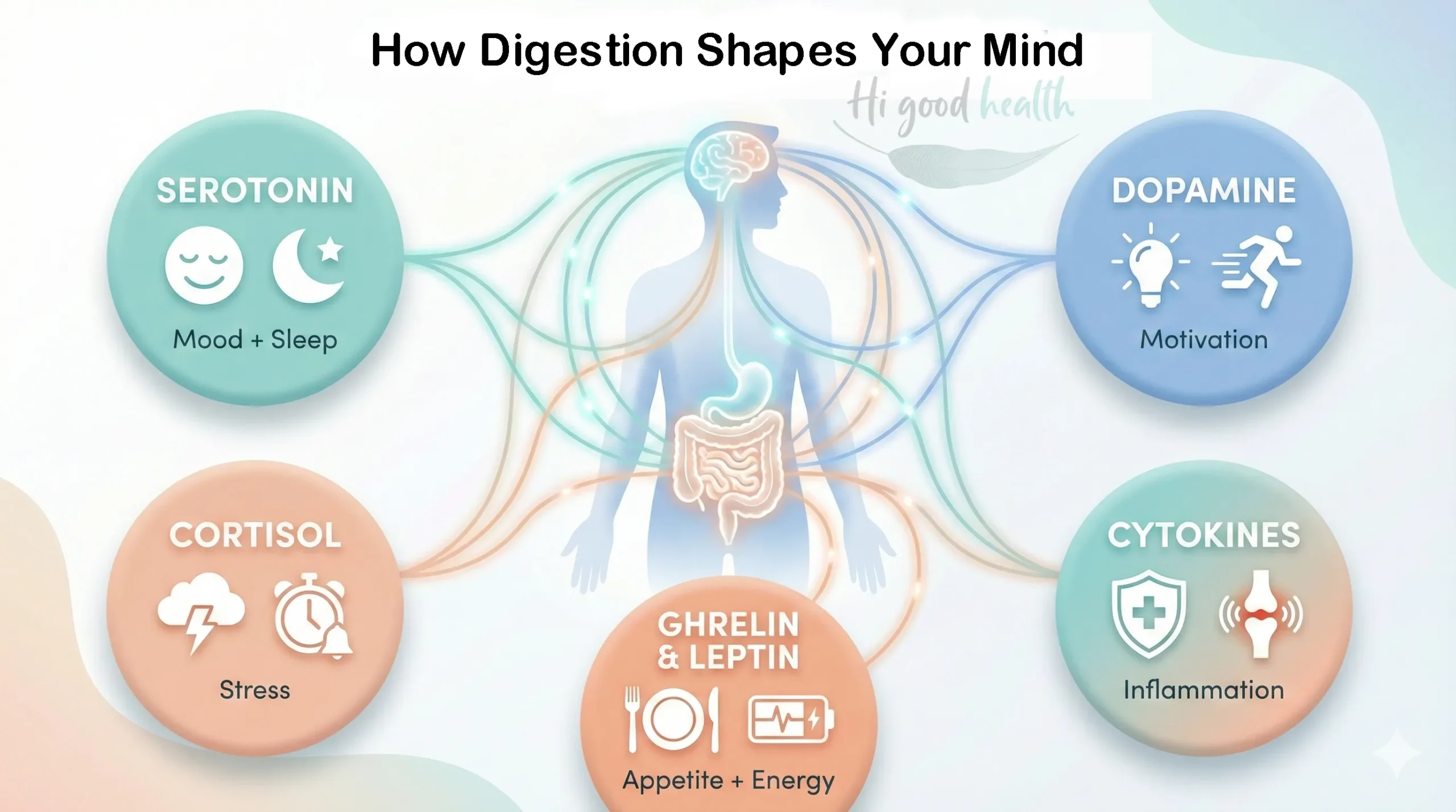Diagram of how digestion shapes the mind through serotonin for mood and sleep, dopamine for motivation, cortisol for stress, ghrelin and leptin for appetite and energy, and cytokines for inflammation