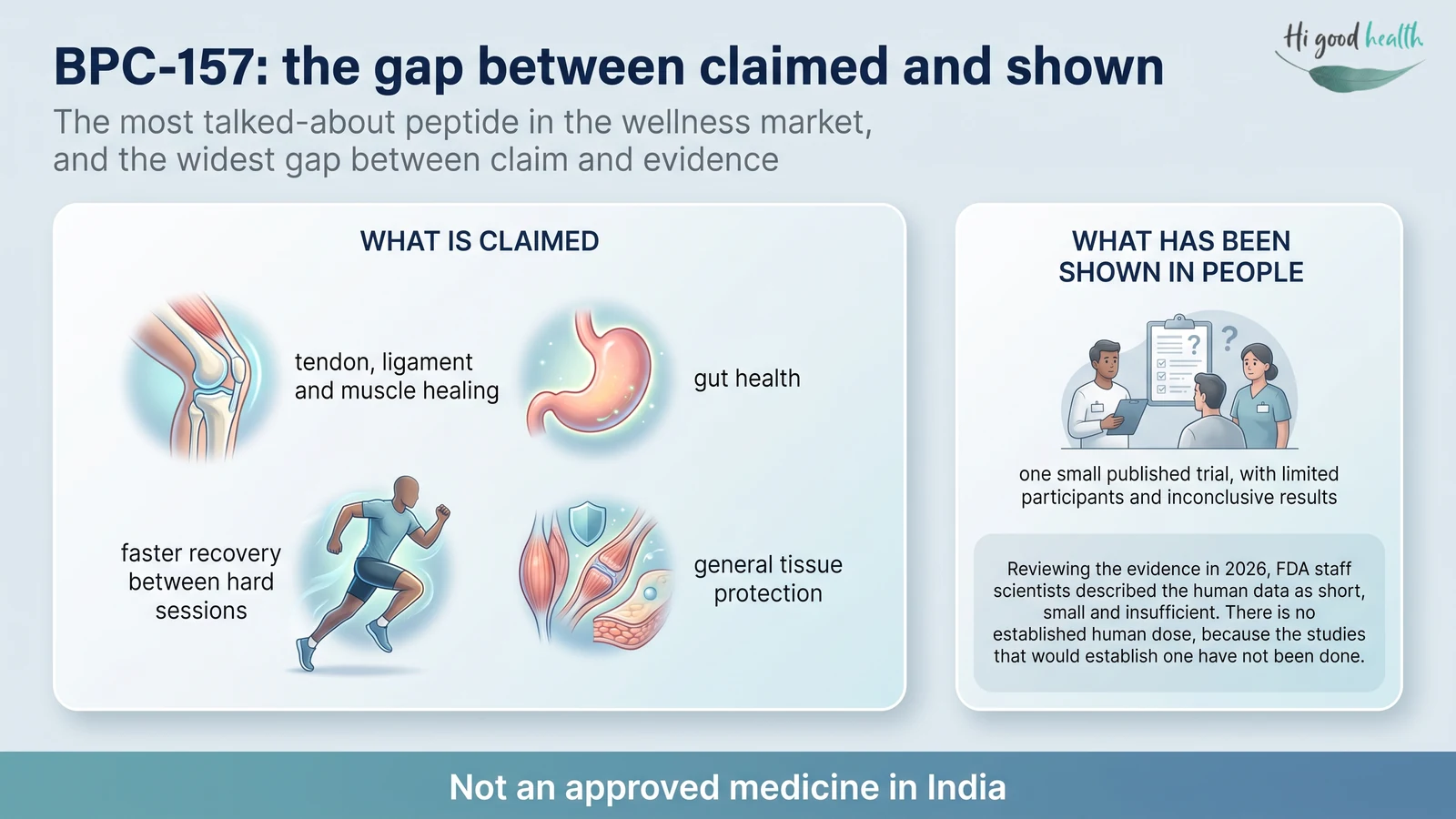 Infographic contrasting a large panel of what BPC-157 is claimed to do — tendon, ligament and muscle healing, gut health, faster recovery between hard sessions and general tissue protection — against a much smaller panel of what has been shown in people, which amounts to one small published trial with limited participants and inconclusive results.