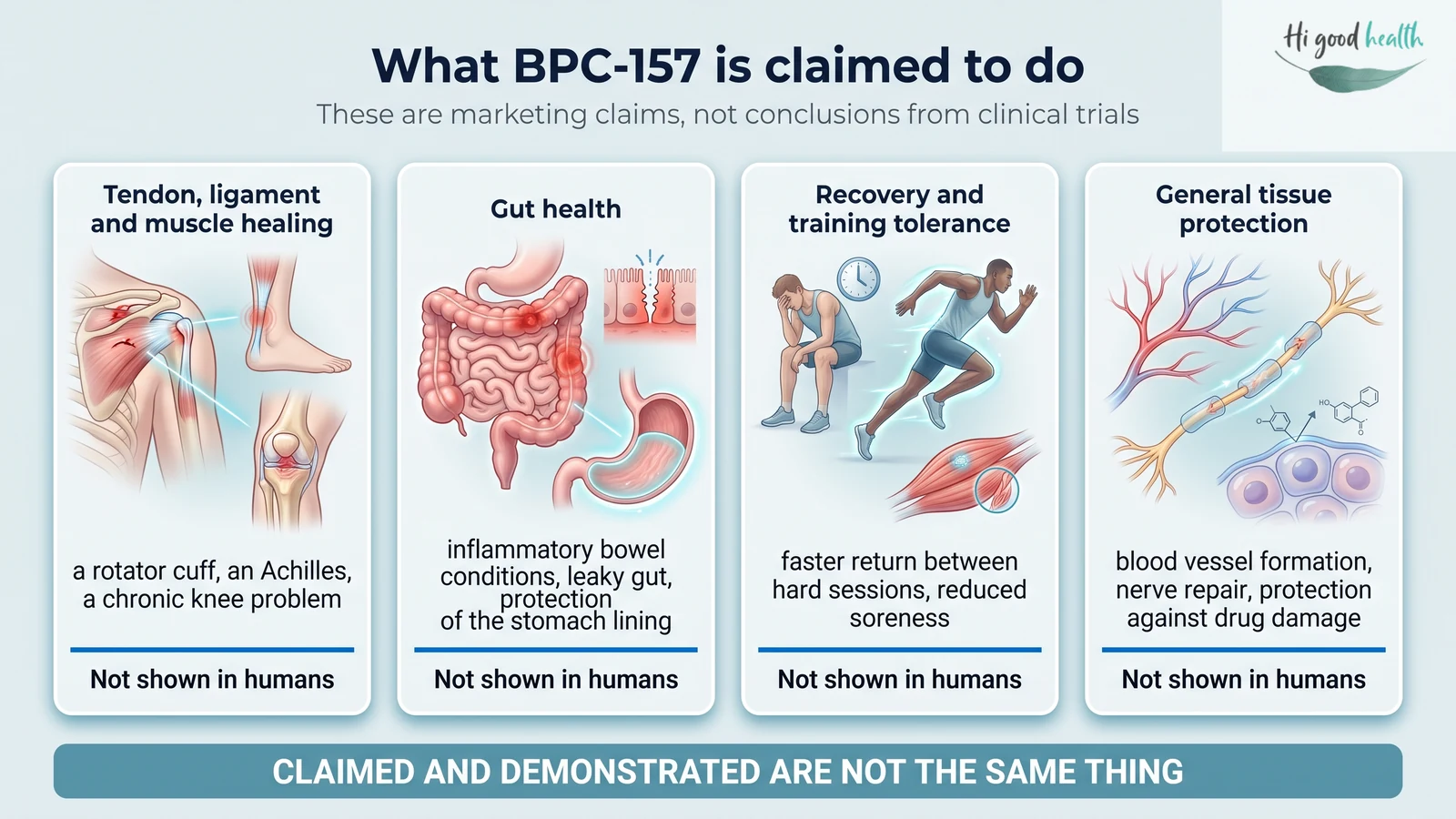 Infographic: the four marketing claims made for BPC-157 &mdash; tendon and muscle healing, gut health, recovery, and tissue protection &mdash; each set against the research behind it, and every one marked not shown in humans.