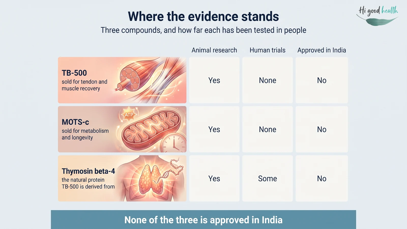 TB-500 in India: What It Is, What the Evidence Shows, and Why Athletes Cannot Touch It 4 Infographic: TB-500, MOTS-c and thymosin beta-4 compared on animal studies, human trials and approval status — all three have animal research, only thymosin beta-4 has any human trials, and none of the three is approved in India.