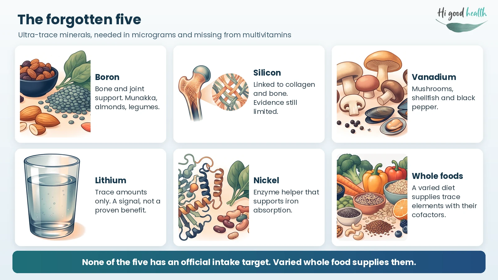 Infographic of the forgotten five ultra-trace minerals: boron from munakka, almonds and legumes; silicon, linked to collagen and bone with limited evidence; vanadium from mushrooms, shellfish and black pepper; lithium in trace amounts with no proven benefit; and nickel, an enzyme helper for iron absorption
