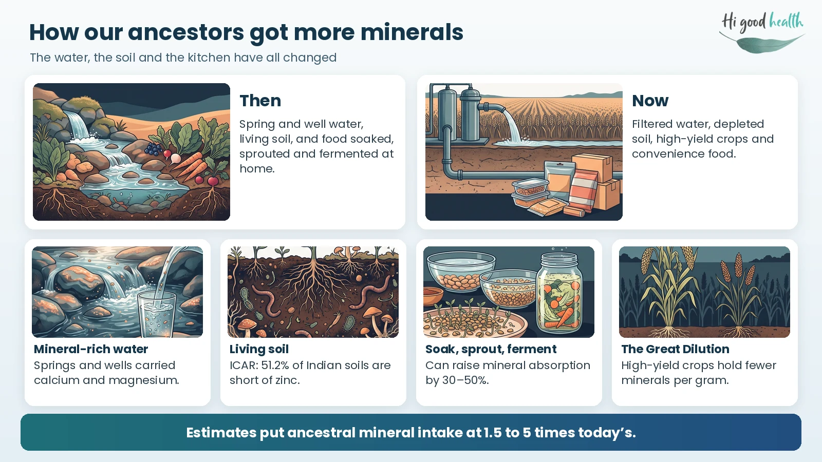Infographic: how our ancestors got more minerals. Then, spring and well water, living soil and food soaked, sprouted and fermented at home; now, filtered water, depleted soil, high-yield crops and convenience food. ICAR finds 51.2% of Indian soils short of zinc, soaking and fermenting can raise absorption by 30–50%, and high-yield crops hold fewer minerals per gram