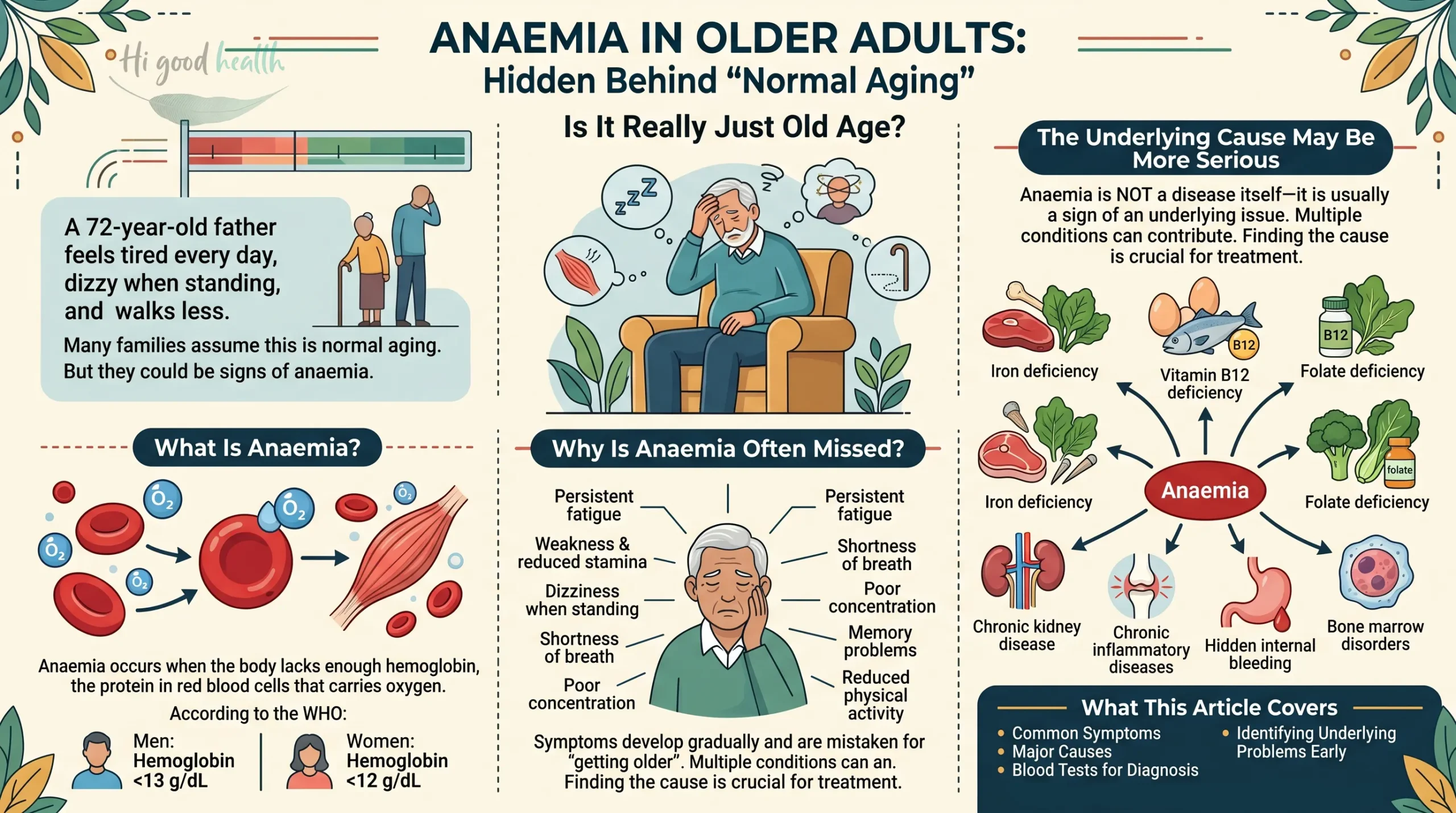 Anemia in Older Adults: Symptoms, Causes, Blood Tests, and Why It’s Often Missed 2 Reference infographic on anaemia in older adults hidden behind normal ageing, defining anaemia with WHO haemoglobin thresholds of under 13 g/dL for men and 12 for women, why it is often missed, and the main underlying causes from iron, B12 and folate deficiency to kidney disease and hidden bleeding