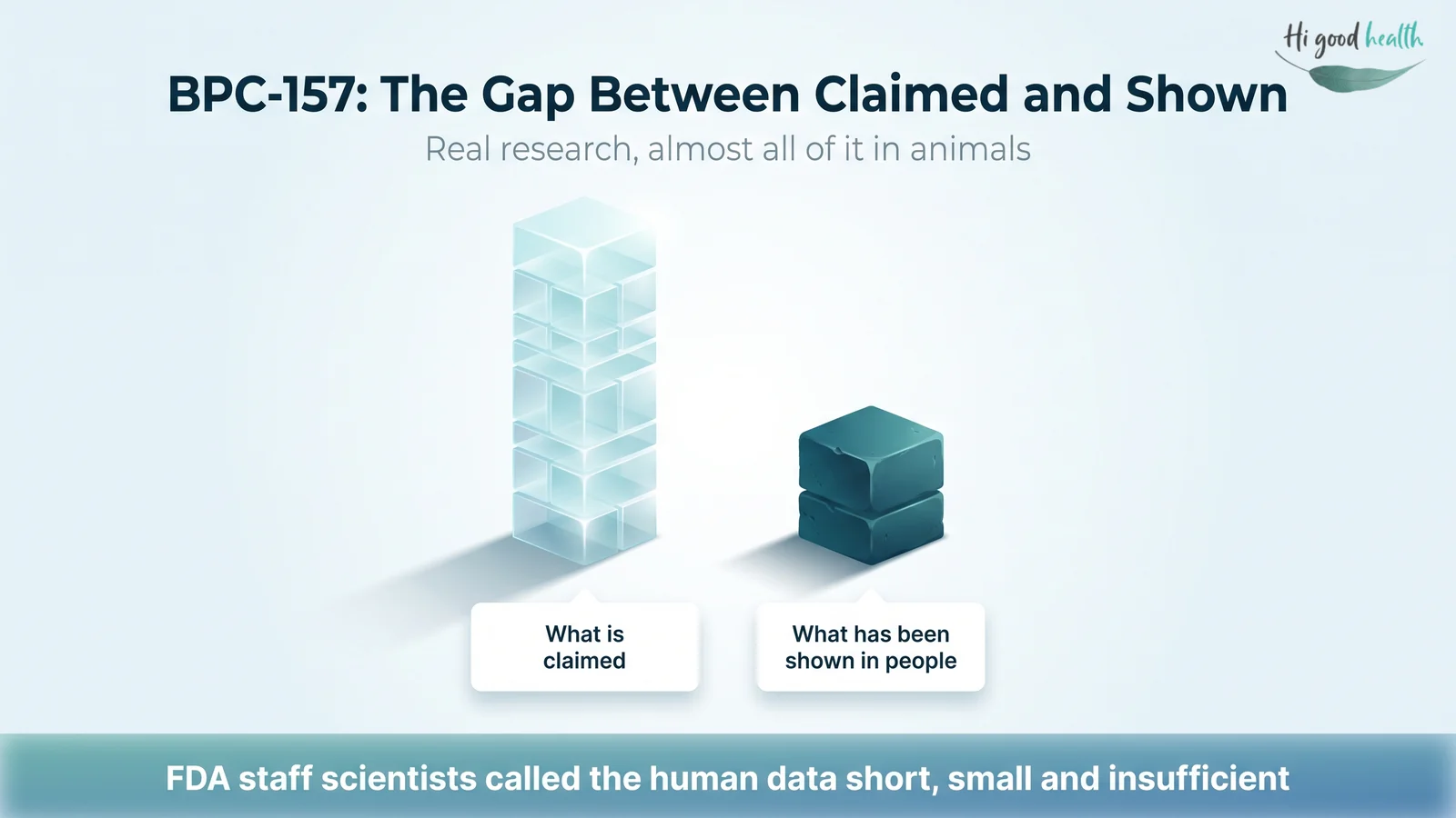 BPC-157: What the Evidence Actually Shows, and Where It Stands in 2026 2 A tall stack representing what BPC-157 is claimed to do beside a much shorter stack representing what has been shown in people. FDA staff scientists called the human data short, small and insufficient.
