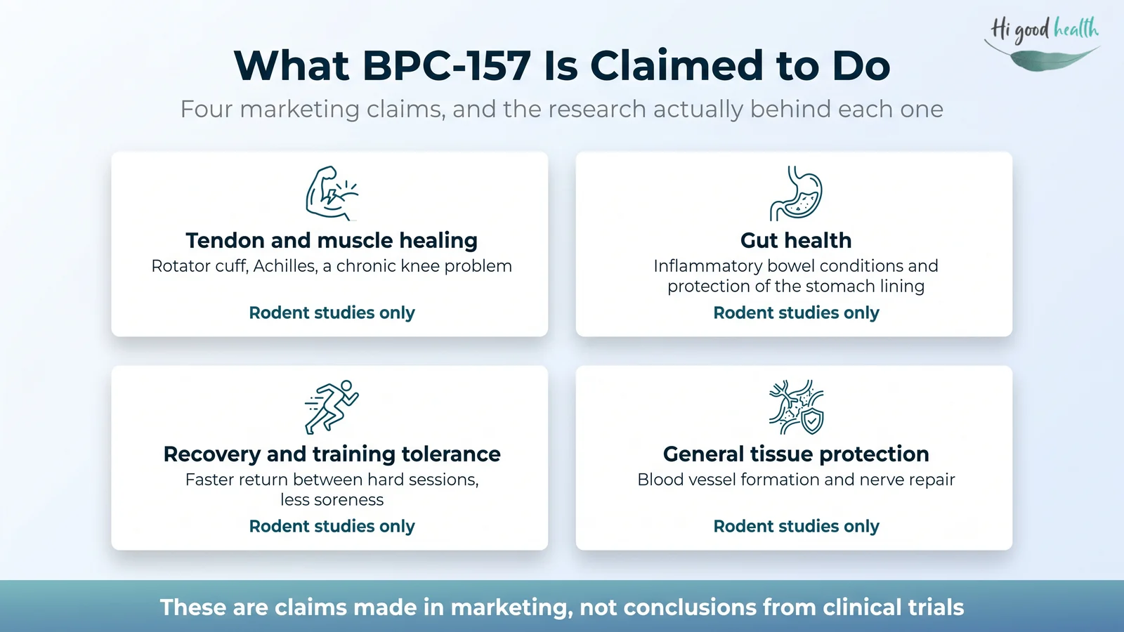 BPC-157: What the Evidence Actually Shows, and Where It Stands in 2026 4 The four marketing claims made for BPC-157 — tendon and muscle healing, gut health, recovery and training tolerance, and general tissue protection — each supported only by rodent studies.