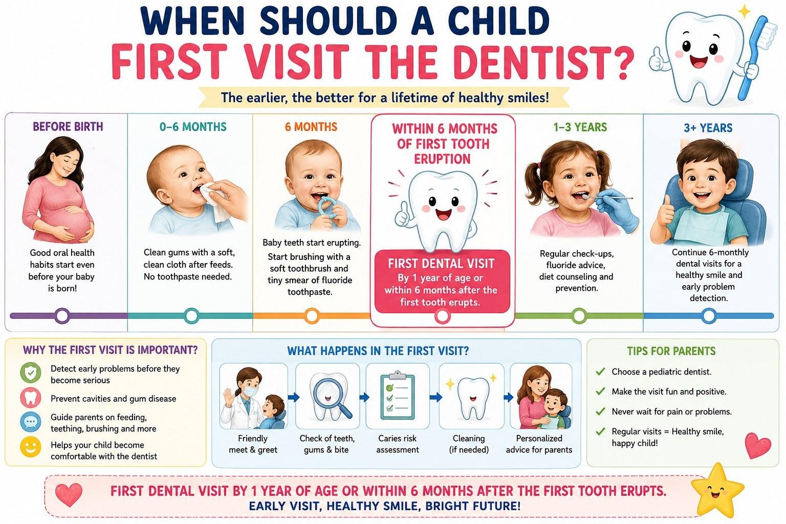 Infographic timeline: when a child should first visit the dentist &mdash; from before birth through the first tooth at around six months to a first dental visit by twelve months, with what happens at that visit.