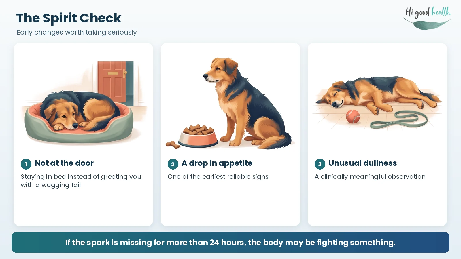 Recognizing the Signs: What Every US Pet Parent Must Watch For | Ticks & Skin: Pet Diseases | Part 2 4 The Spirit Check: three early signs of tick-borne disease in a dog — staying in bed instead of greeting you at the door, a drop in appetite, and unusual dullness
